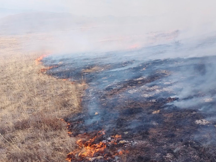 В Бурятии потушен крупный степной пожар на 16 гектарах