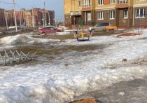В социальных сетях прошли сообщения о том, что на пересечении улиц Новгородская и Прокопьева накануне 9-летняя девочка провалилась в канализационный колодец