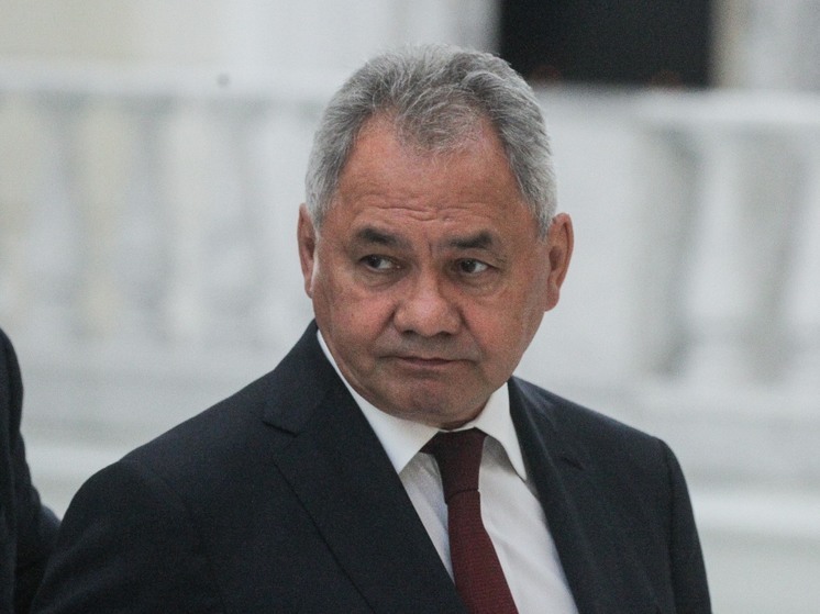 Шойгу: за март ВС РФ освободили пять населенных пунктов