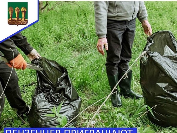Пензенцев пригласили навести порядок в экопарке «Ласточкины горы»