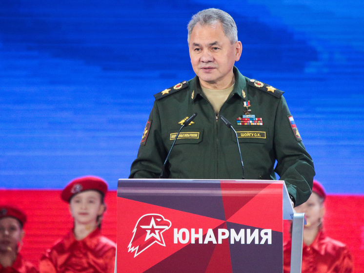 Шойгу: с января потери ВСУ превысили 80 тысяч человек