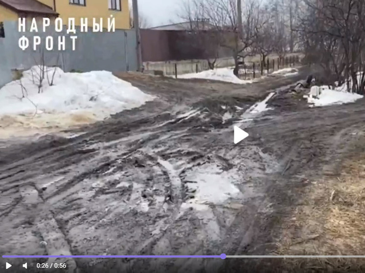 Жители Железнодорожного района Воронежа много лет не имеют дороги и тонут в грязи
