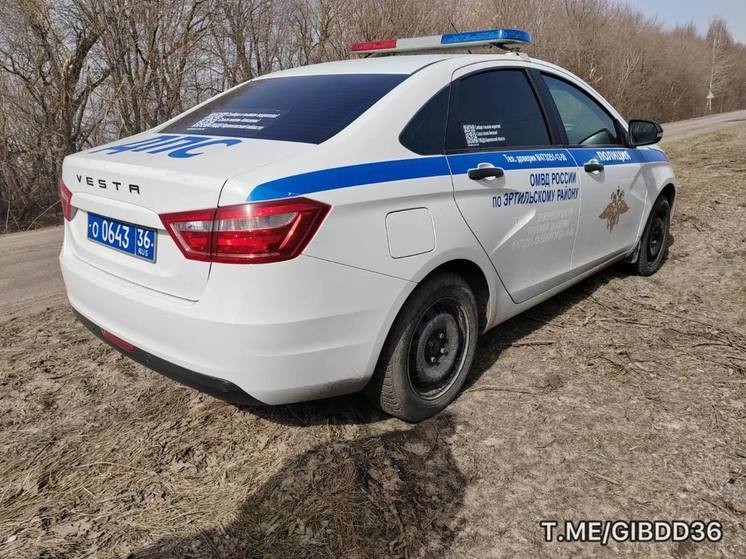 Водитель из Воронежской области скрывался от уплаты штрафов за 50 нарушений ПДД