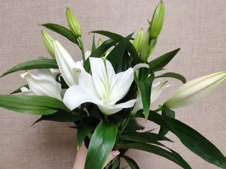 В Хабаровске пройдет акция «Цветы для Богородицы»