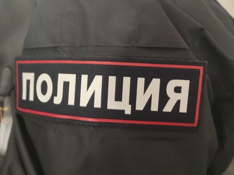 Потрепавший полицейского за куртку житель Валдая получил крупный штраф