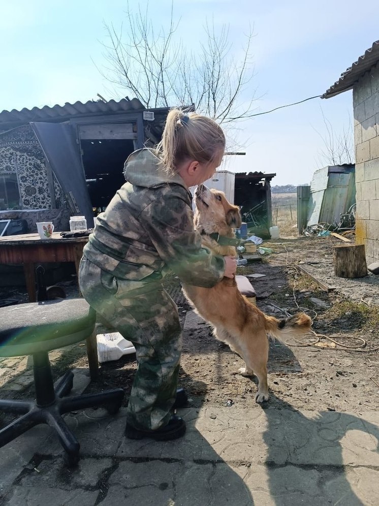 Белгородские волонтеры помогают кормить домашних животных в Грайвороне