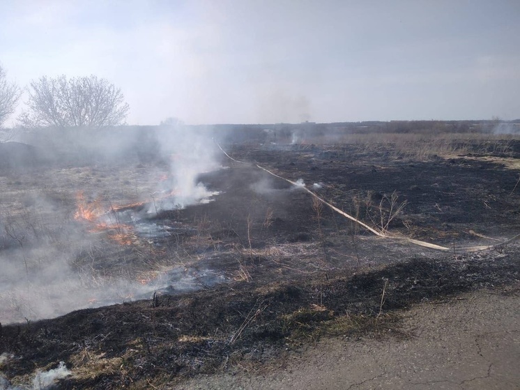 В Липецкой области при сжигании травы погиб пенсионер