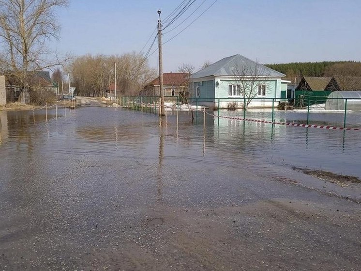 В Шацке и Ермиши вода затопила приусадебные участки и огороды