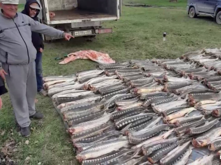 В Дагестане полицейские изъяли большую партию незаконно добытой рыбы
