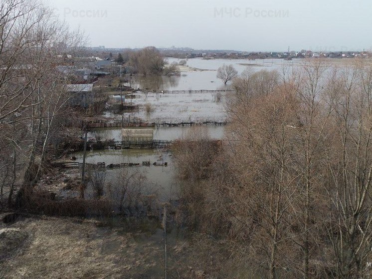 В Рязанской области подтопило 15 приусадебных участков