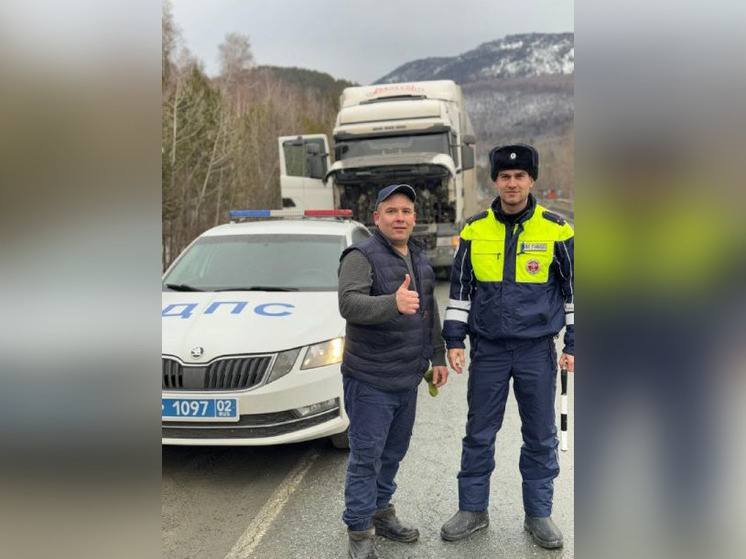 Башкирские автоинспекторы помогли попавшему в беду водителю фуры