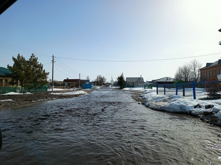 Талые воды затопили несколько улиц в Буинском районе Татарстана