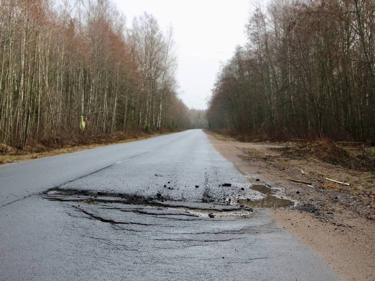 Подрядчики по гарантии устранят дефекты на дорогах в Новгородском районе