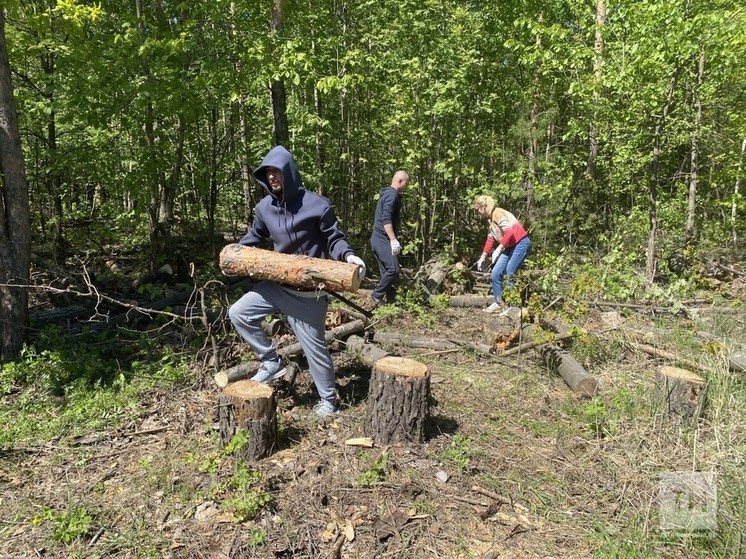Весенний этап природоохранной акции «Чистые леса Татарстана» стартует 22 апреля