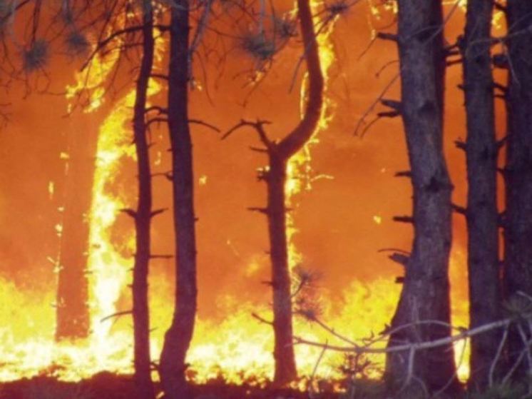 Жителям Ленобласти напомнили правила предупреждения пожаров