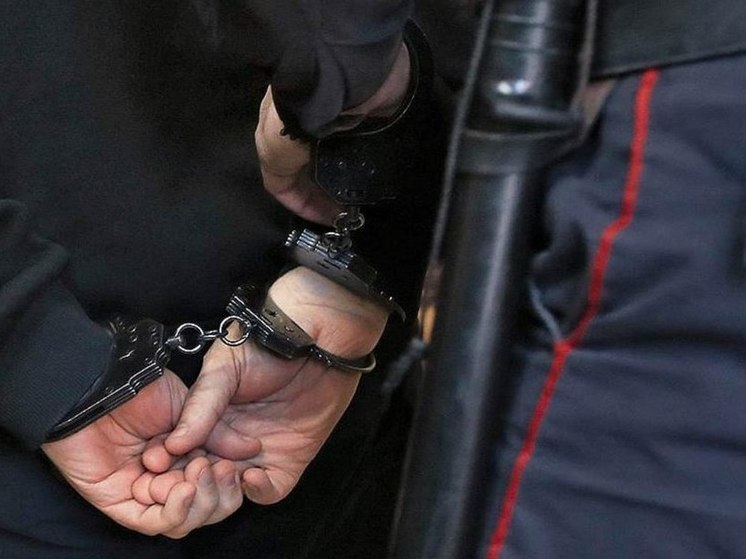 Полицейские Мелитополя в кратчайшие сроки раскрыли кражу