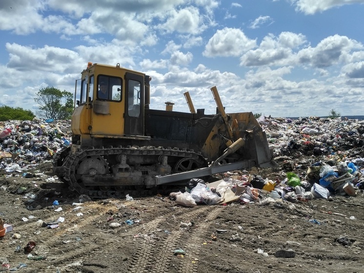В Перми ликвидируют 6,5 тысячи тонн отходов с несанкционированных свалок