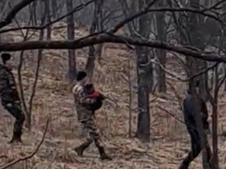 В лесу в Приморском крае найден ребенок, пропавший накануне со двора частного дома