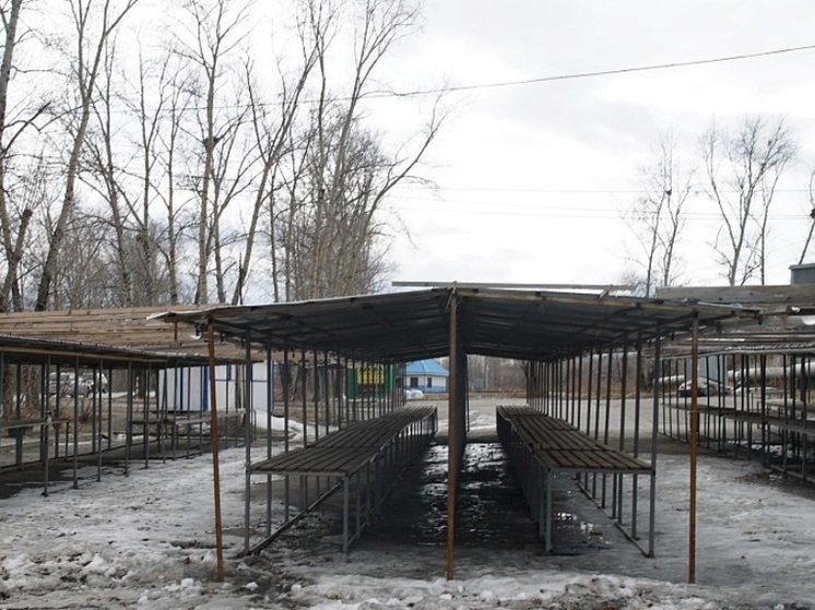 В Хабаровске облагородят торговые ряды для продажи рассады в районе остановки «Химфармзавод»