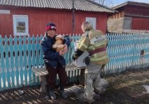 По данным на утро 3 апреля, в Алтайском крае талыми водами подтоплены 194 дома в 45 населенных пунктах. Затопленных приусадебных участков — 917.