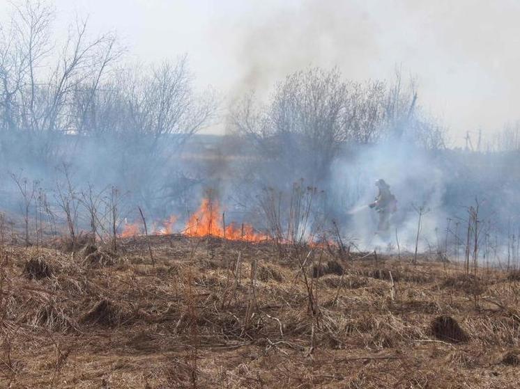 Во Владимире пожарные тушили сухую траву