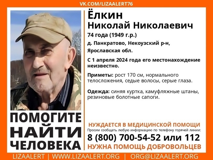 В Ярославской области уже несколько дней разыскивают мужчину, которому нужна медпомощь
