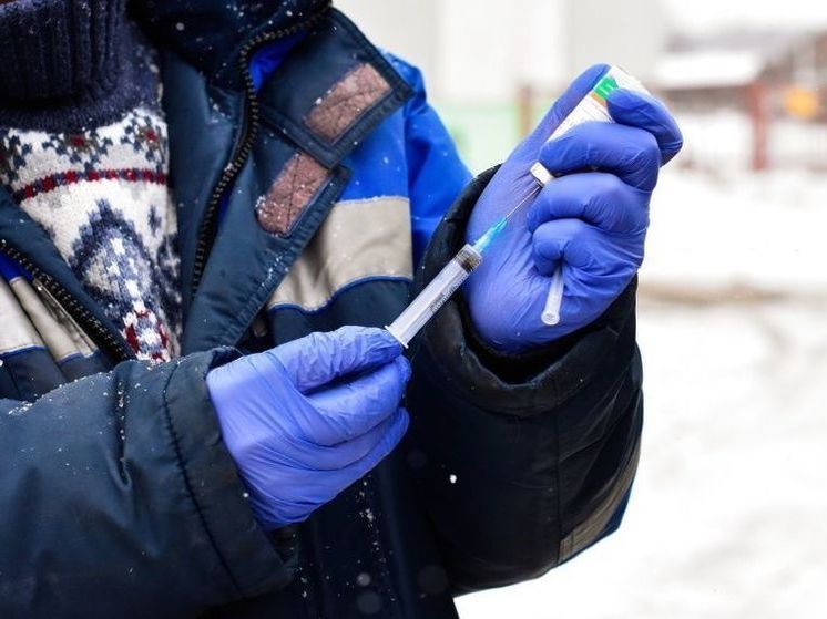 В Кирове больше 1000 домашних животных вакцинировали от бешенства