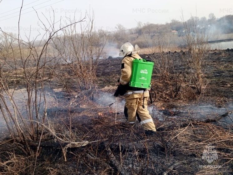 На Орловщине спасатели боролись с горящим сухостоем