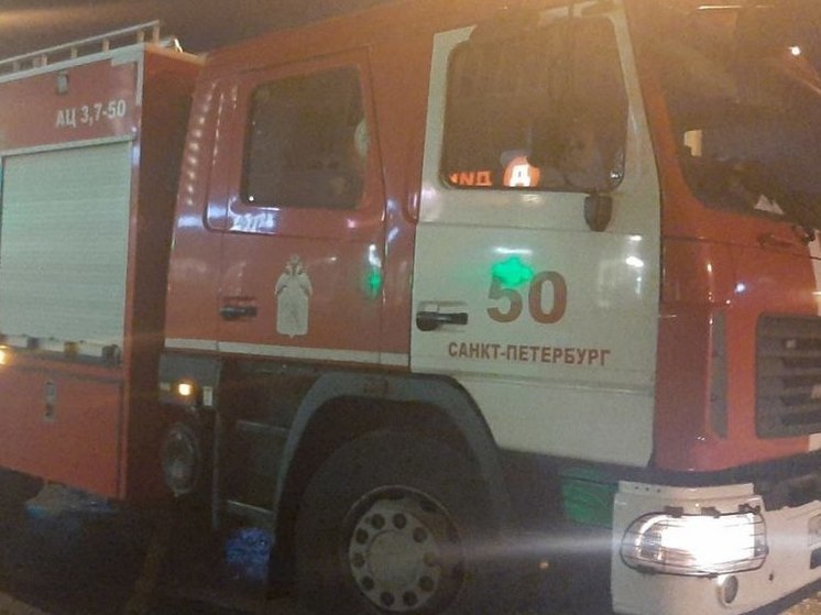 Женщина погибла в ночном пожаре на Станюковича