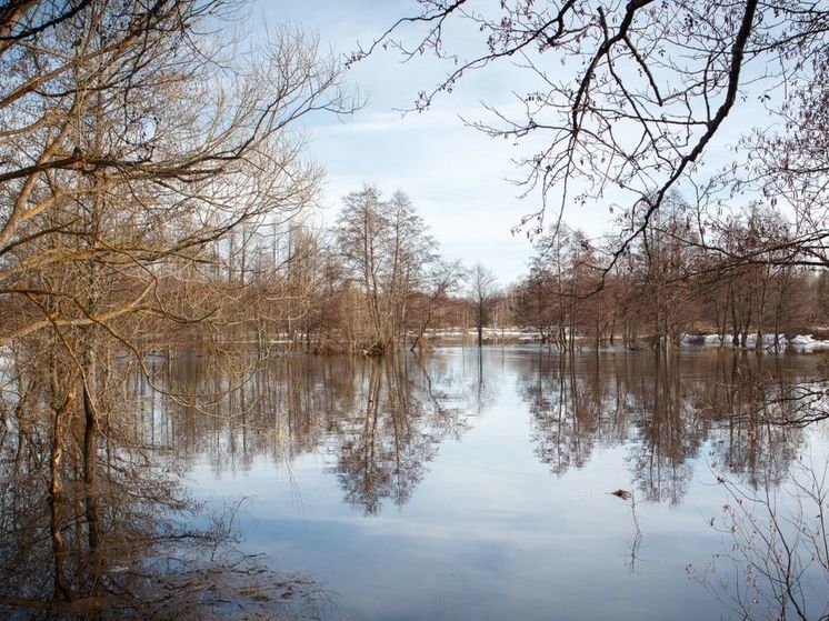 Дожди начнутся в Подмосковье во второй половине дня
