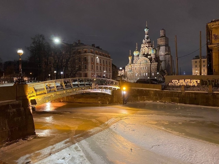 Красноярцы раскритиковали курортный сбор для туристов в Санкт-Петербурге
