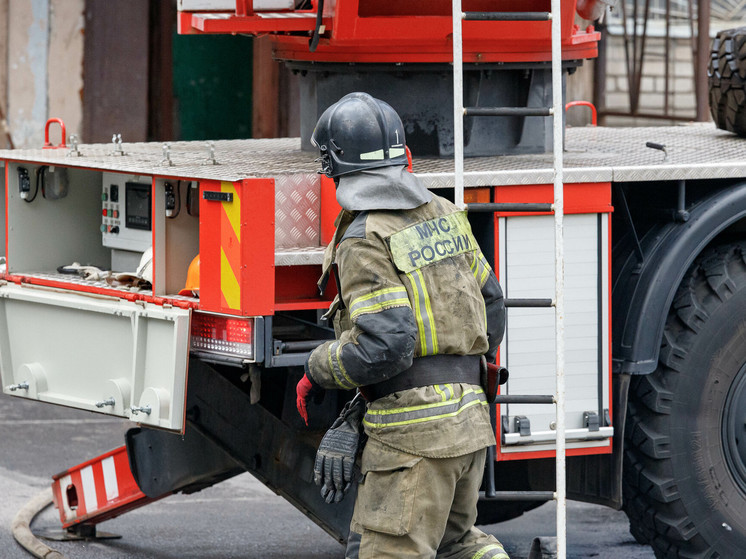 Водитель получил ожоги лица из-за пожара в машине в Пушкиногорском районе