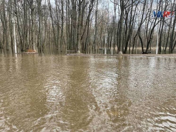 МЧС: Уровень воды в Ока в черте Рязани повысился на 34 сантиметра