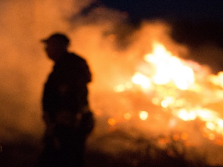 Жителей воронежских Лисок напугали взрыв и пожар