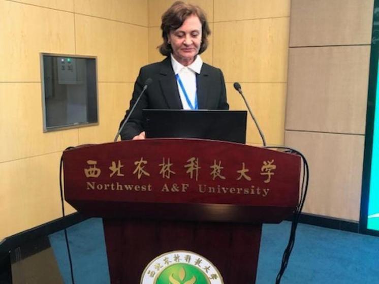 Профессор ОмГАУ выступила с докладом на международном научном семинаре в Китае