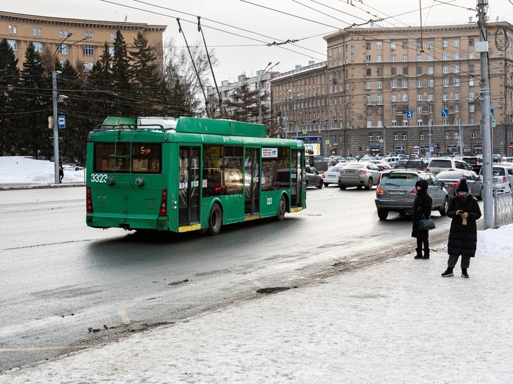 В Новосибирске низкопольный троллейбус №5 сошел с маршрута из-за луж