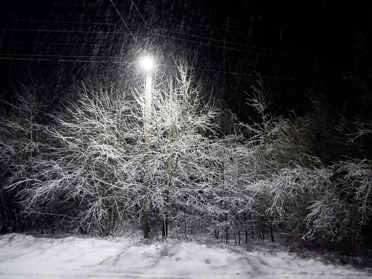 Снег ожидается на территории Псковской области вечером 3 апреля