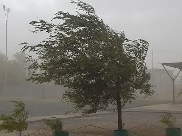 В Калмыкии прогнозируют дождь с ветром