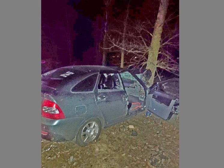Автоледи под Воронежем врезалась в дерево, погибла пассажир авто