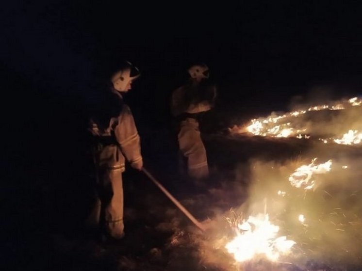 В Курской области в результате пожара погибли три породистые собаки