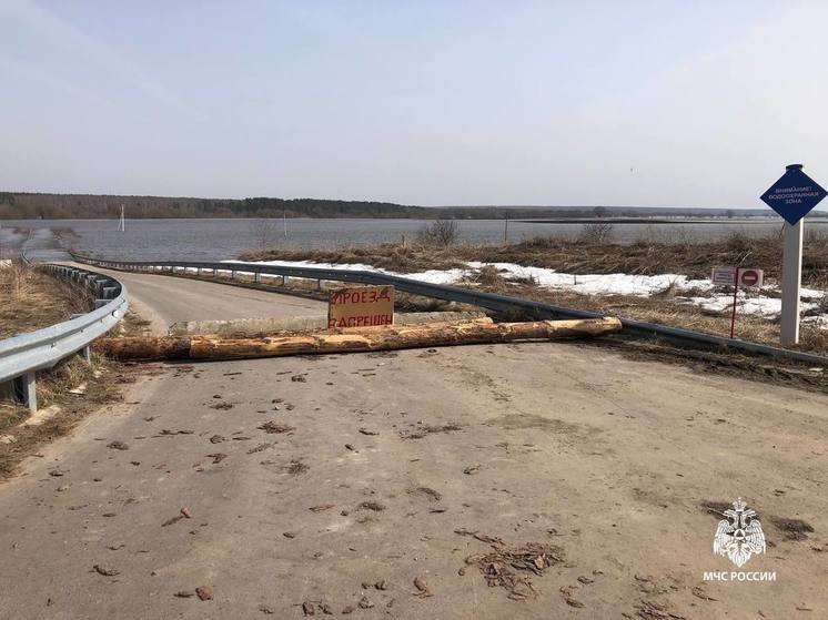 В Ухоловском районе освободился от воды низководный мост