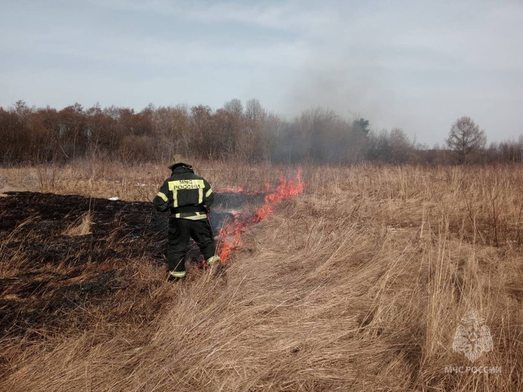 2 апреля в Ивановской области пожарные впервые в этом году тушили горящую траву