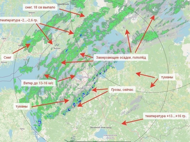Ленинградскую область накрыл циклон «Патриция»