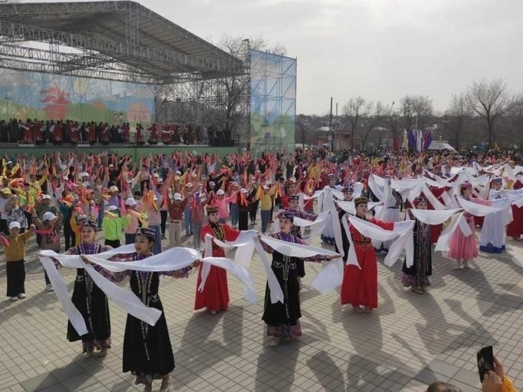 Фестиваль тюльпанов откроют на трех площадках Элисты
