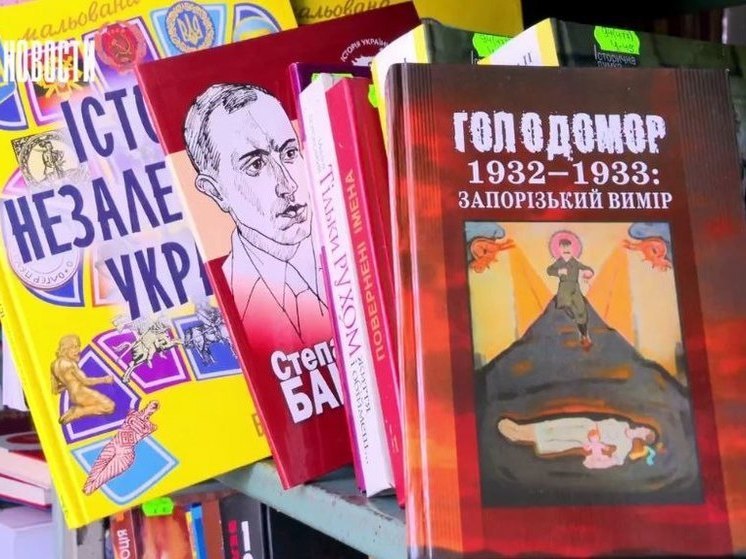 Очередную партию пропагандистской литературы изъяли в посёлке Великая Белозёрка
