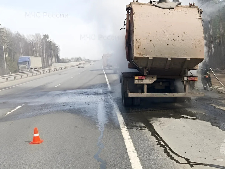 В Судогодском районе на трассе сгорел грузовик