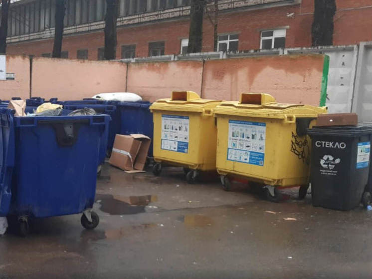 Жители Гатчины пожаловались на некачественный вывоз мусора