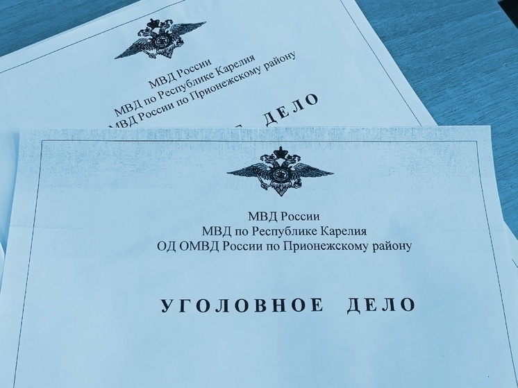 Бизнесмен в Питкяранте стал фигурантом уголовного дела из-за долга по зарплате