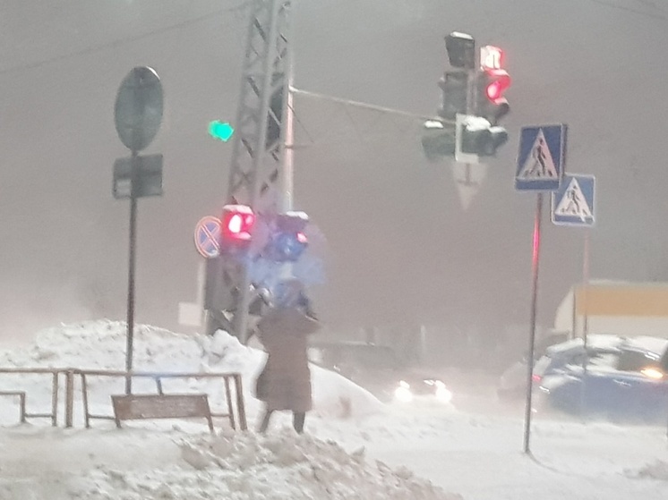 Карелию заметет снегом, предупредили в МЧС