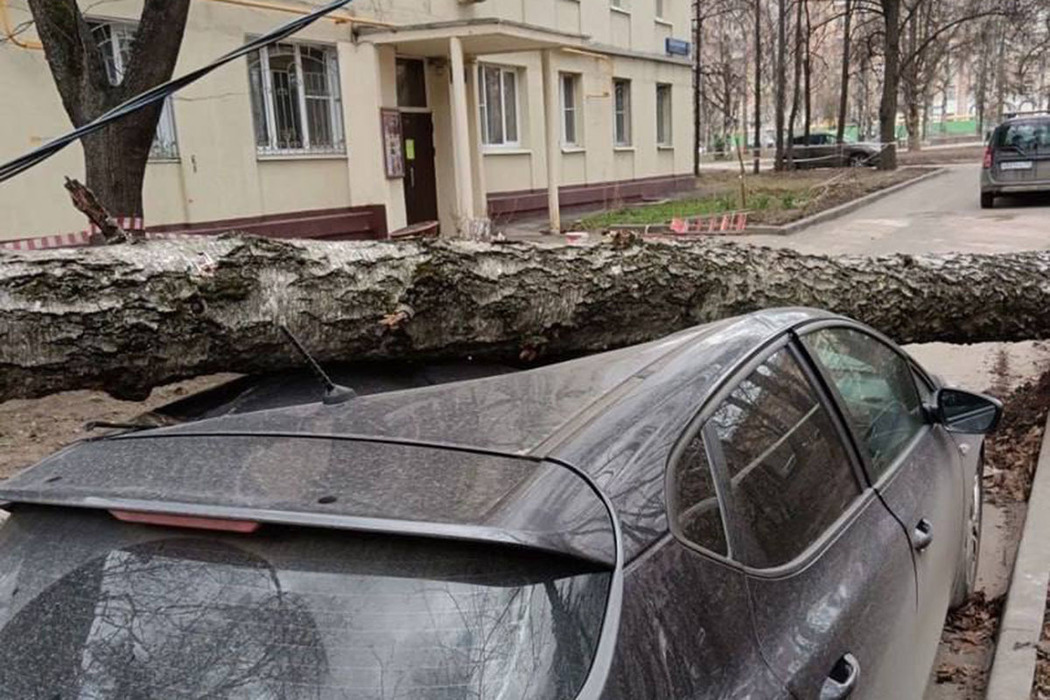В Москве стихия валила деревья и двигала туалеты: страшные кадры с улиц